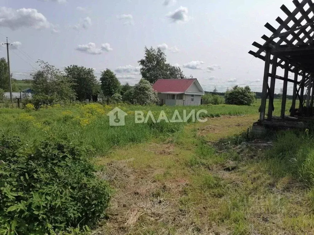 Участок в Владимирская область, Суздальский район, Селецкое ... - Фото 1