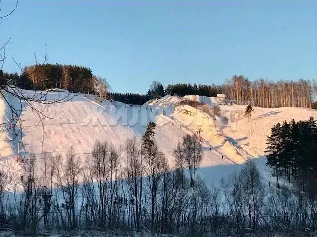 3-к кв. Новосибирская область, Новосибирск Весенний мкр, ул. Заречная, ... - Фото 1