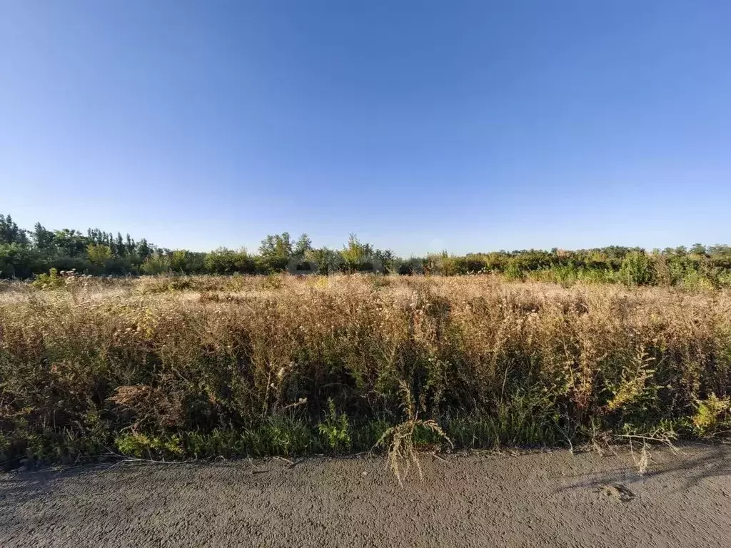 Участок в Ростовская область, Аксай ул. Ермолова (8.0 сот.) - Фото 2