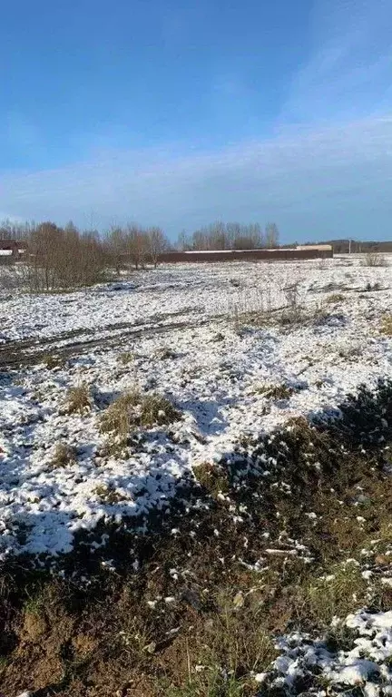 Участок в Московская область, Талдомский городской округ, д. Новая ... - Фото 1
