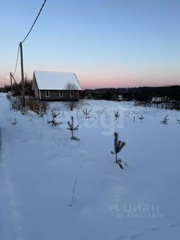 Участок в Ленинградская область, Лужский район, Толмачевское городское ... - Фото 1