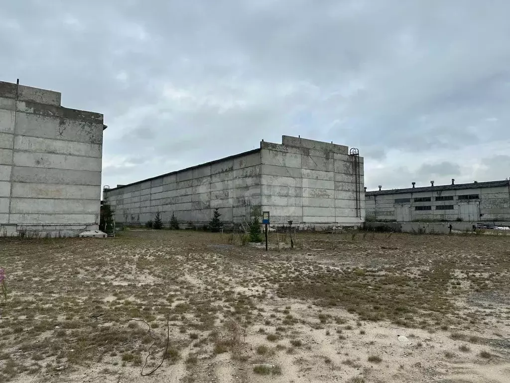 Склад в Ямало-Ненецкий АО, Новый Уренгой А панель,  (1287 м) - Фото 1