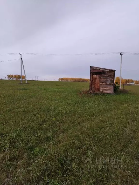 Участок в Красноярский край, Емельяновский район, Элитовский ... - Фото 1