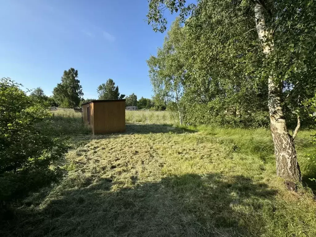 Участок в Калининградская область, Зеленоградский муниципальный округ, ... - Фото 1
