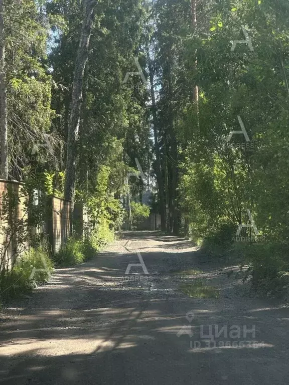Участок в Ленинградская область, Выборгский район, Рощинское городское ... - Фото 0