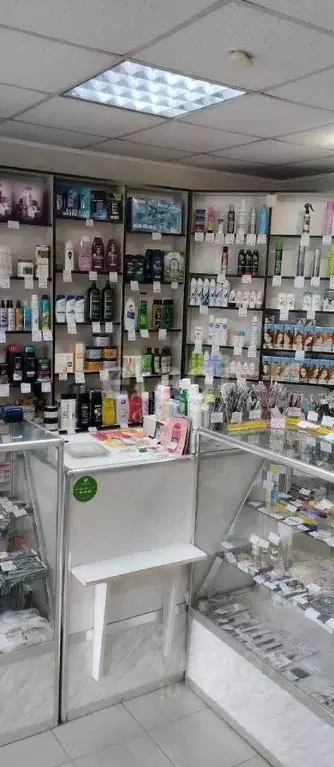 Помещение свободного назначения в Курганская область, Куртамыш ул. ... - Фото 2