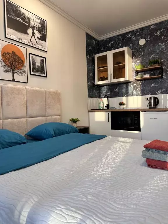 Студия Адыгея, Майкоп ул. К.А. Васильева, 1к5 (30.0 м) - Фото 2