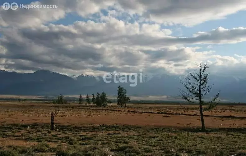 Участок в Кош-Агачский район, село Курай (24 м) - Фото 1