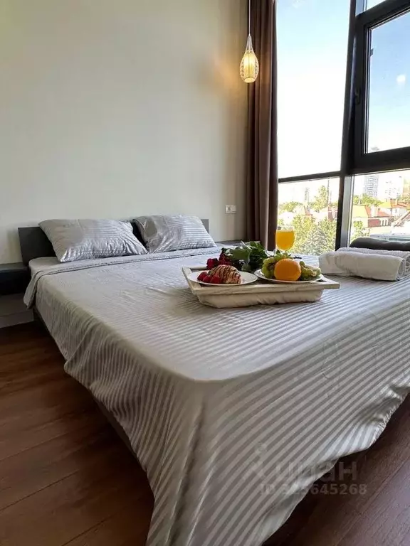 2-к кв. Краснодарский край, Сочи Пластунская ул., 123Ак2 (44.8 м) - Фото 2