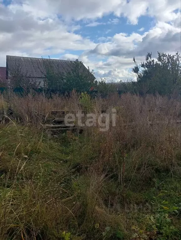 Участок в Белгородская область, Алексеевский городской округ, с. ... - Фото 0