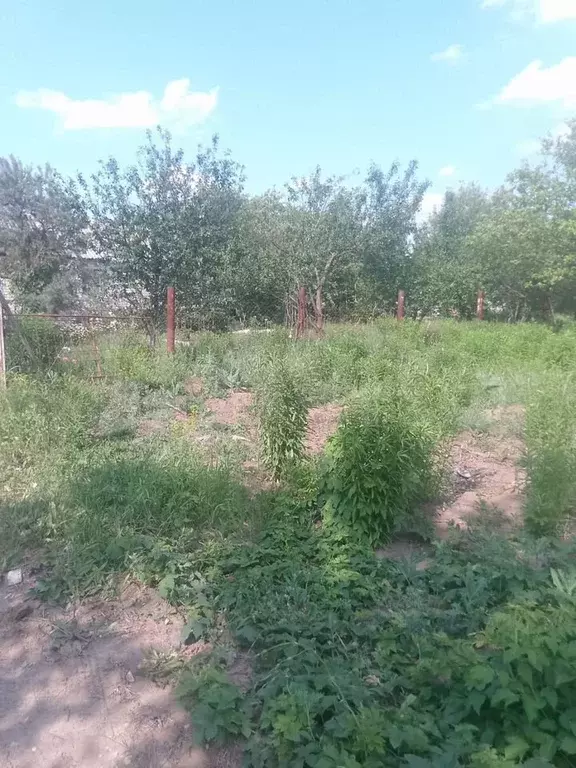 Участок 18 сот. (ИЖС) - Фото 0