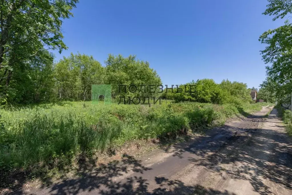 Участок в Амурская область, Благовещенский район, с. ... - Фото 2