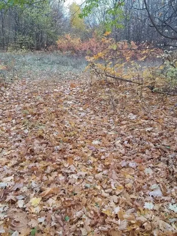 Участок в Свердловская область, Ревда муниципальный округ, пос. ... - Фото 0