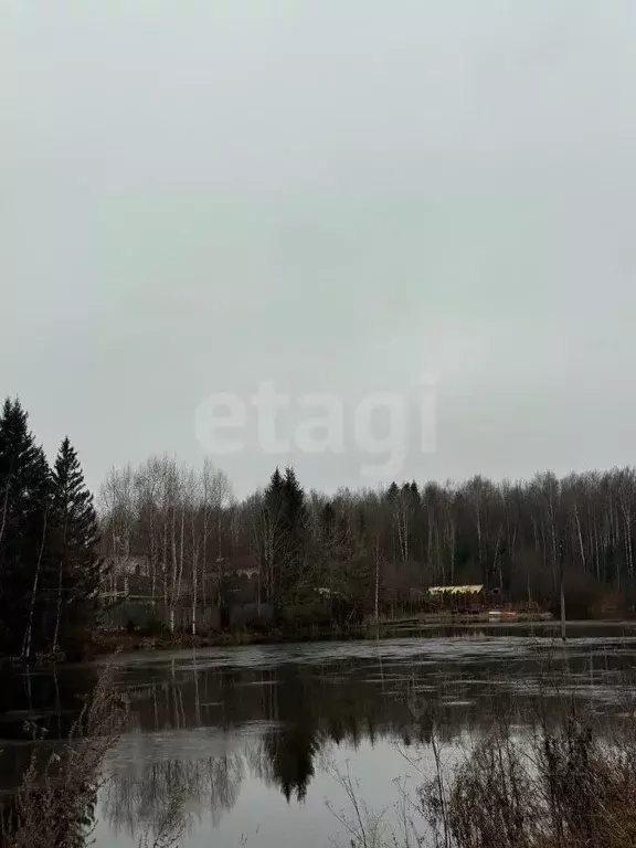 Участок в Пермский край, Краснокамский муниципальный округ, ... - Фото 2