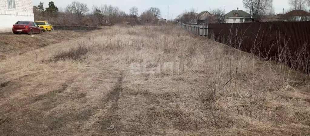 Участок в Белгородская область, Алексеевский городской округ, с. ... - Фото 0