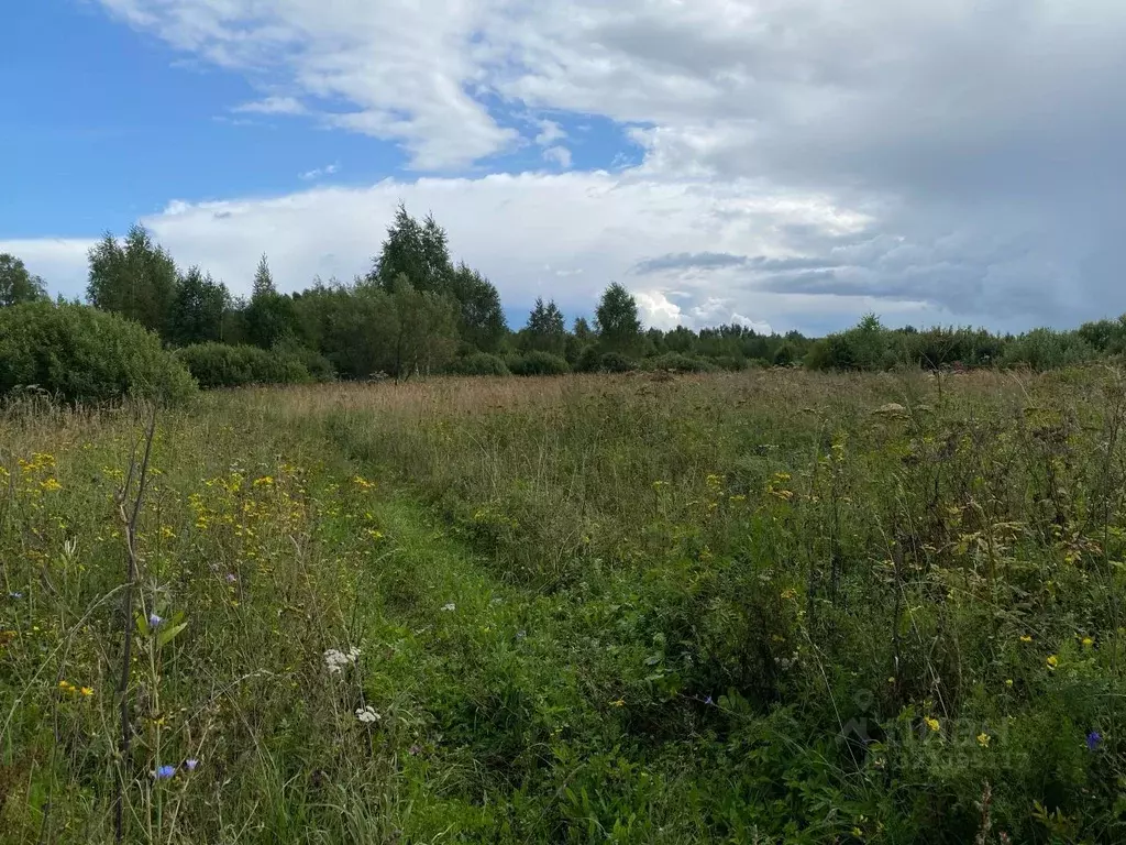 Участок в Калужская область, Малоярославецкий муниципальный округ, ... - Фото 1