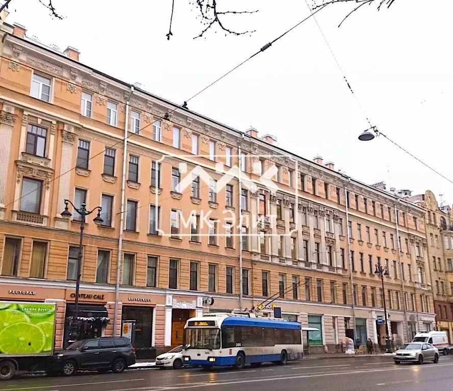Помещение свободного назначения в Санкт-Петербург Суворовский просп., ... - Фото 0