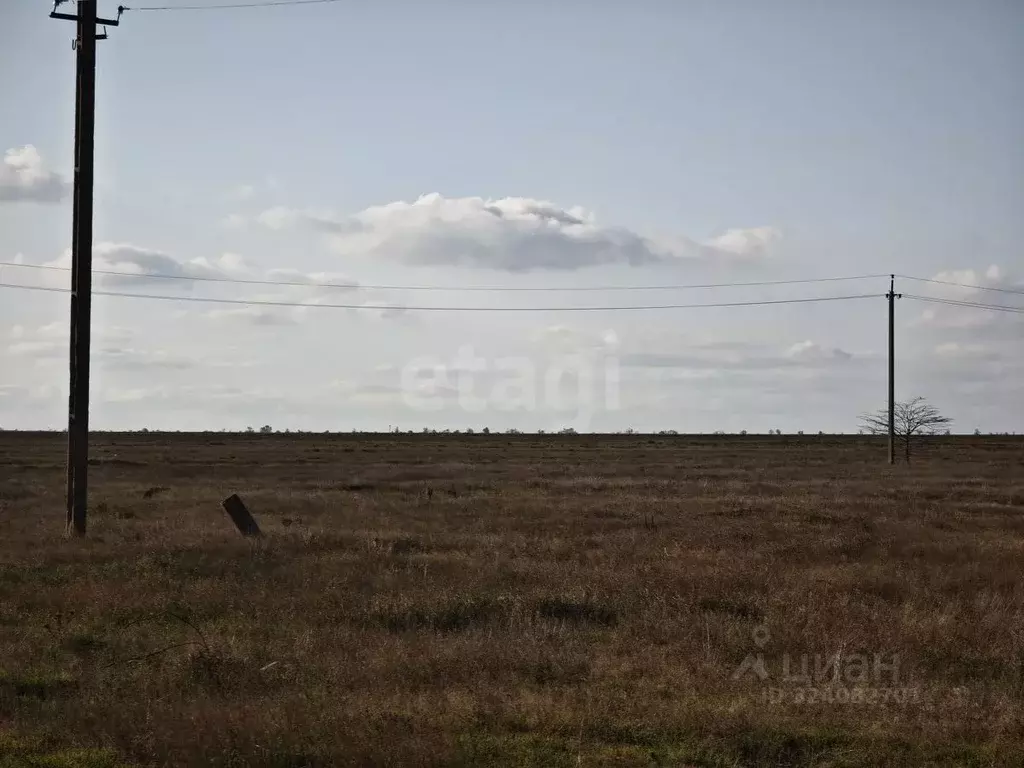 Участок в Крым, Сакский район, с. Сизовка  (2999.0 сот.) - Фото 2