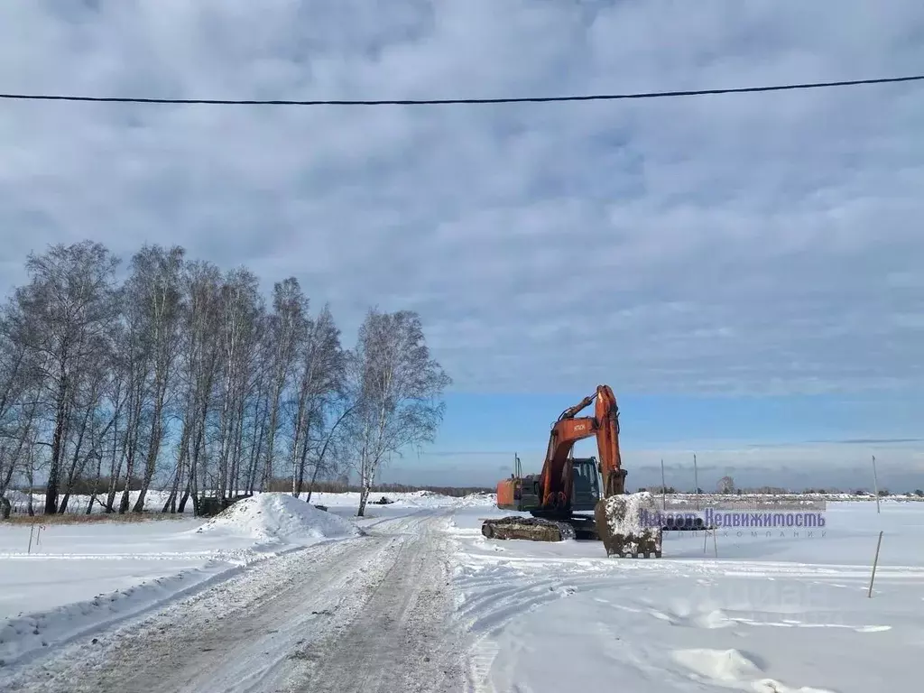 Участок в Алтайский край, Первомайский район, с. Фирсово, Березовый ... - Фото 1