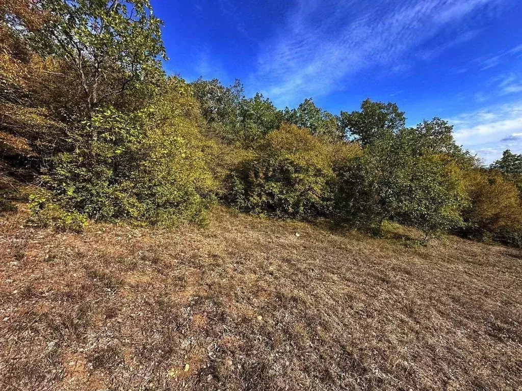 Участок в Крым, Бахчисарайский район, Голубинское с/пос, с. Нижняя ... - Фото 1