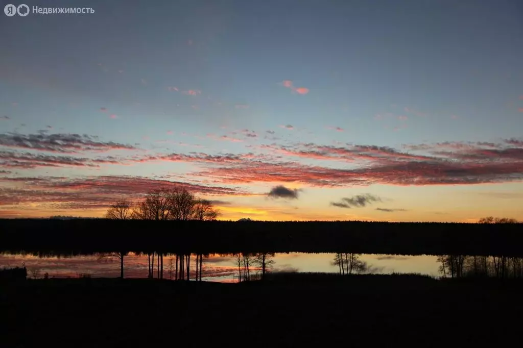 1-комнатная квартира: посёлок Семиозерье, Парковый переулок, 24 (31 м) - Фото 2