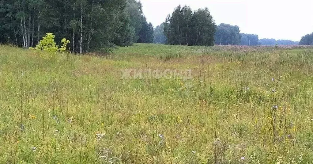 Участок в Новосибирская область, Кольцово рп ш. Векторное (29.9 сот.) - Фото 1