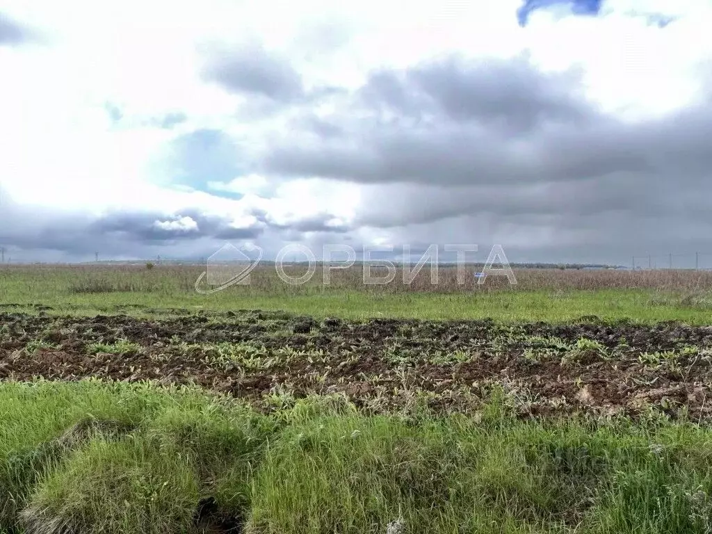 Участок в Тюменская область, Тюменский муниципальный округ, с. ... - Фото 1
