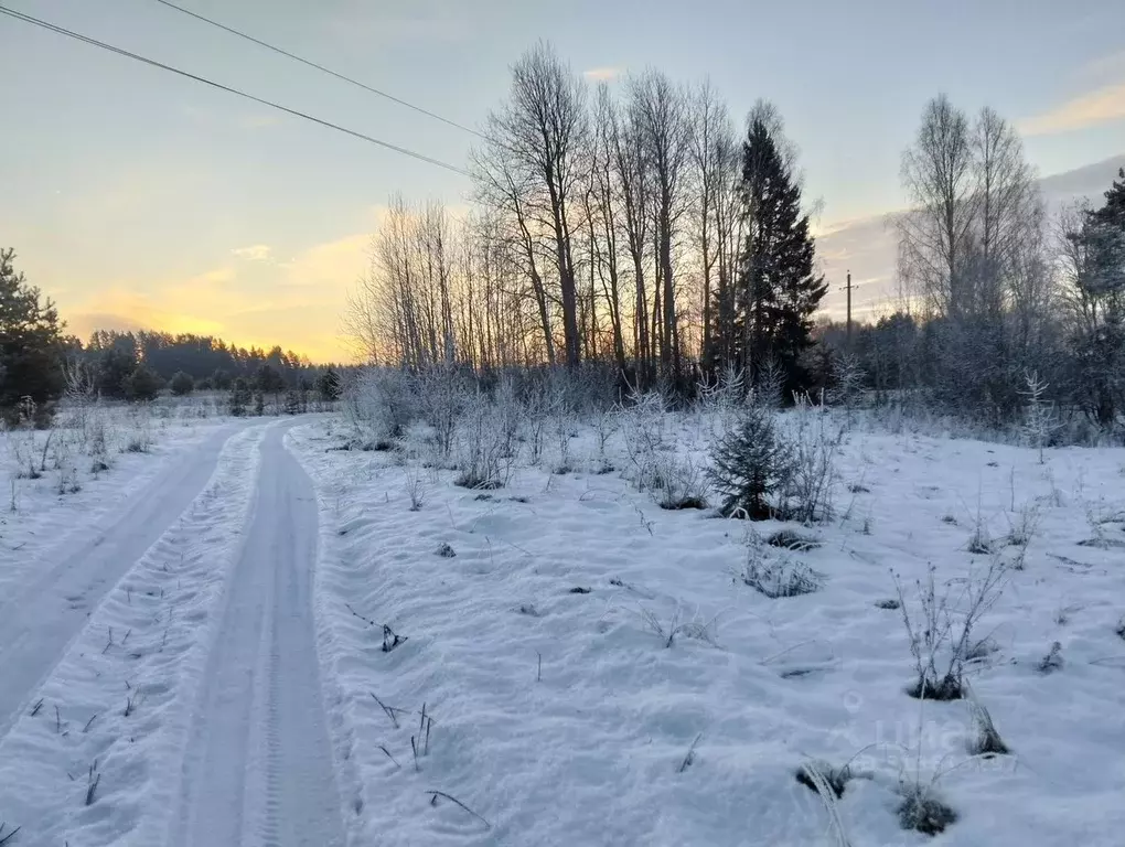 Участок в Пермский край, Очерский городской округ, д. Уварово  (77.0 ... - Фото 0