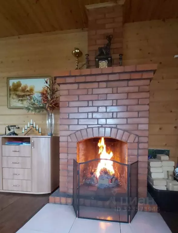 Дом в Тульская область, Заокский район, Страховское с/пос, д. Темьянь ... - Фото 2