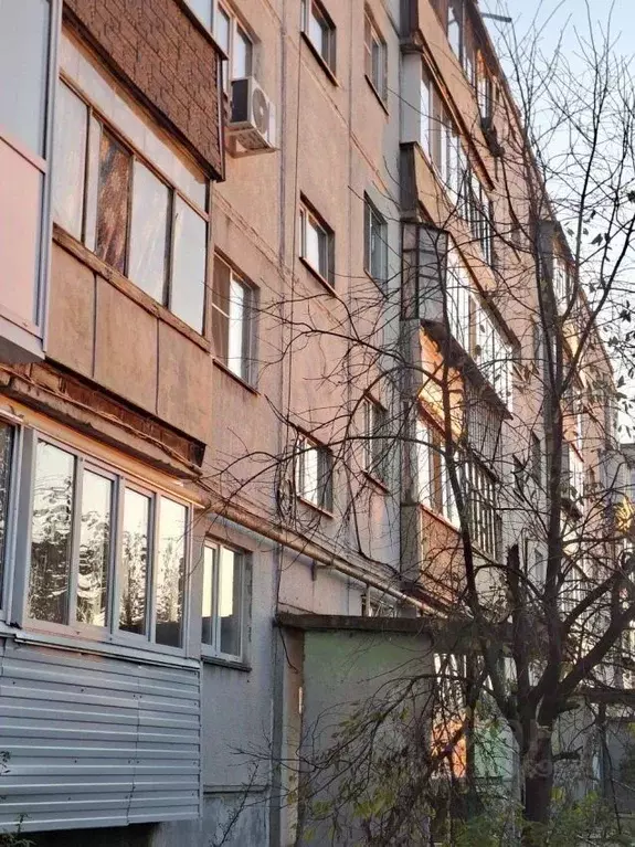 2-к кв. Курганская область, Курган ул. Анфиногенова, 7 (48.8 м) - Фото 0