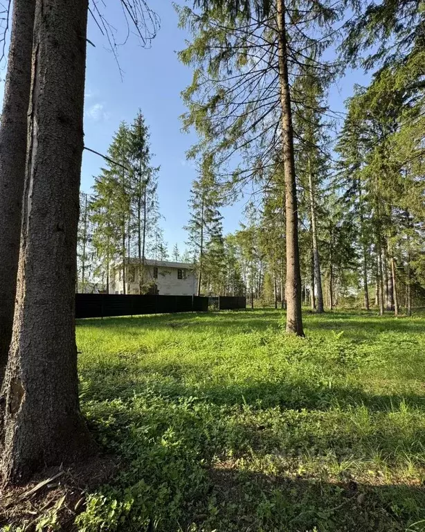 Участок в Московская область, Клин городской округ, Ели Эстейт ... - Фото 1