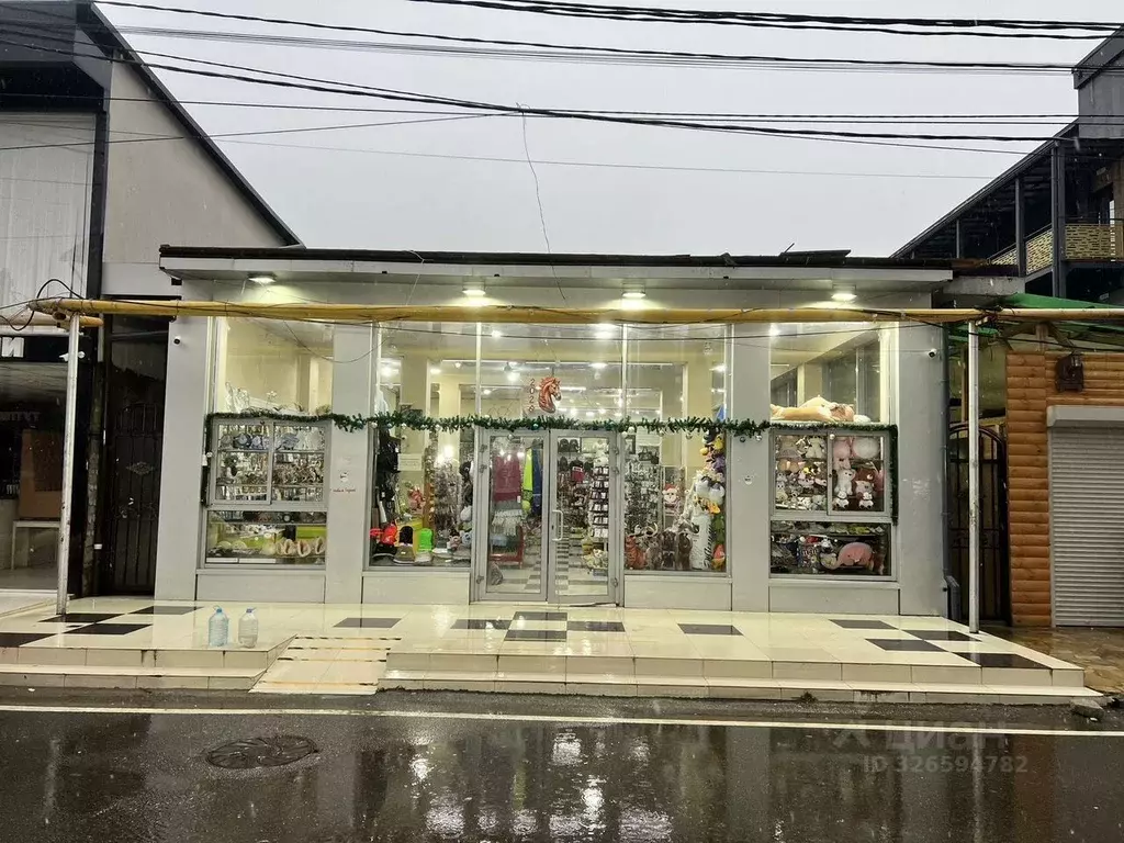 Помещение свободного назначения в Краснодарский край, Сочи ул. ... - Фото 1