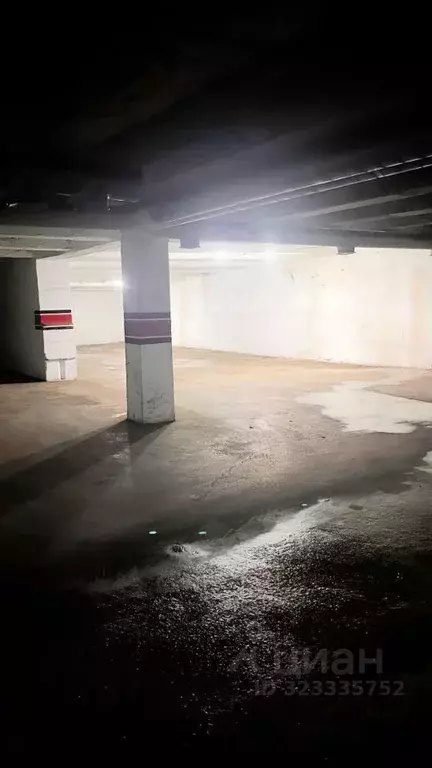 Гараж в Красноярский край, Красноярск ул. Авиаторов, 29 (17 м) - Фото 1