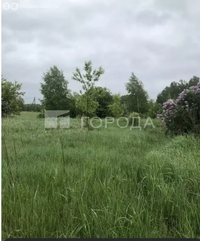 Участок в Санниково, СНТ Овощевод, Западная улица, 29 (6.2 м) - Фото 0