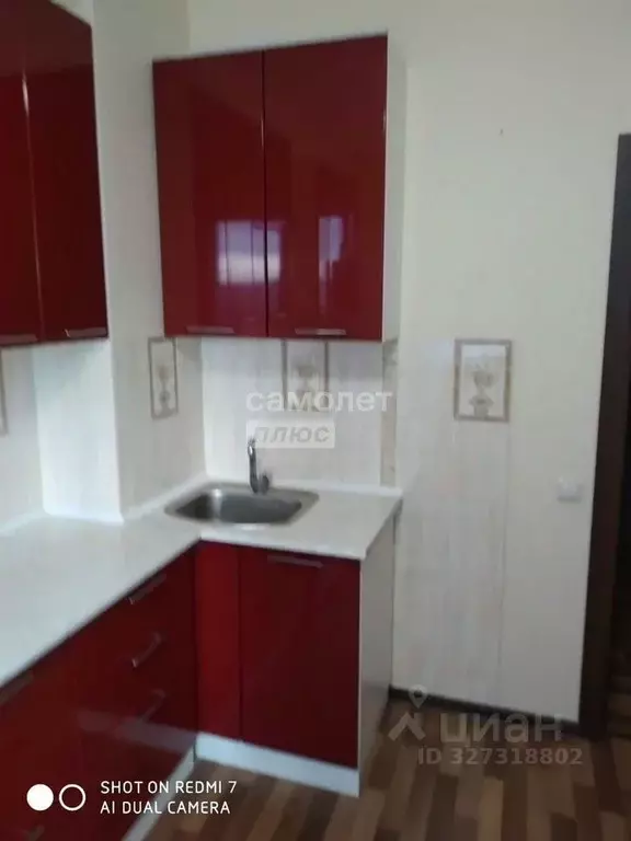 1-к кв. Московская область, Солнечногорск городской округ, Голубое пгт ... - Фото 2