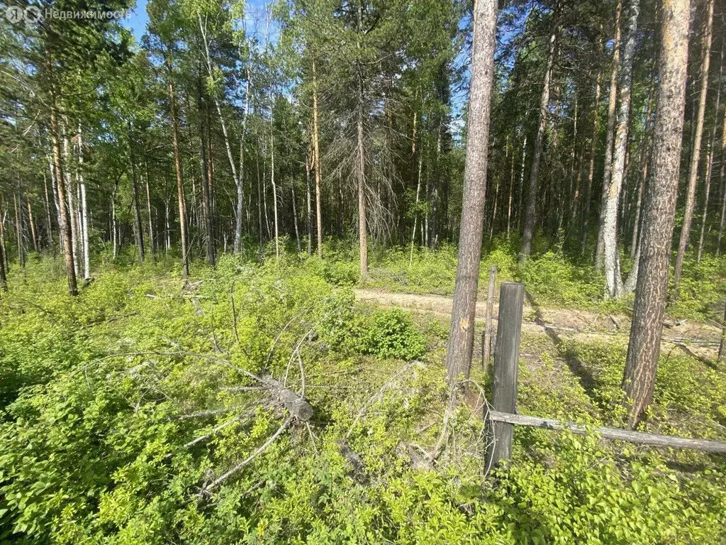 Участок в село Горячинск, Ясная улица (6 м) - Фото 1