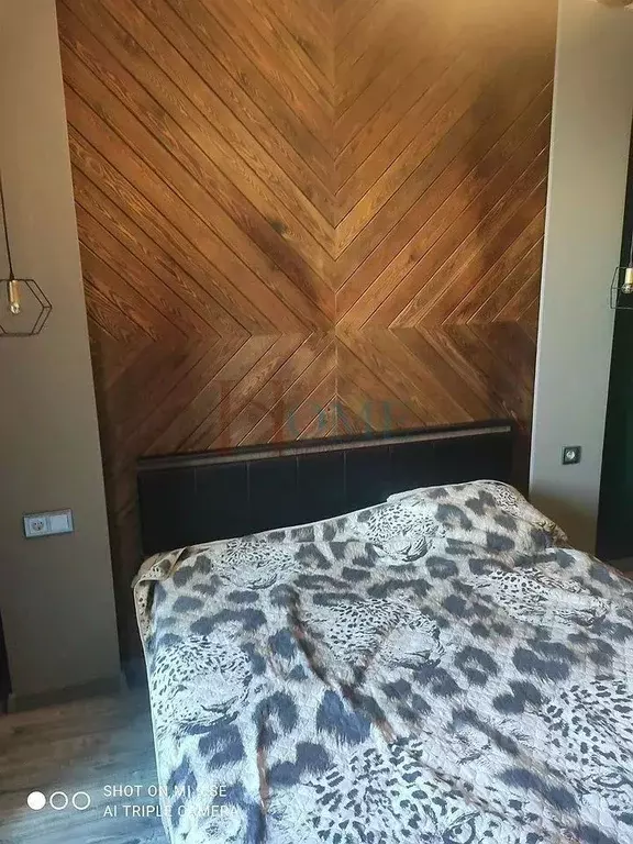 2-к кв. Новосибирская область, Новосибирск ул. Кирова, 236 (45.0 м) - Фото 1