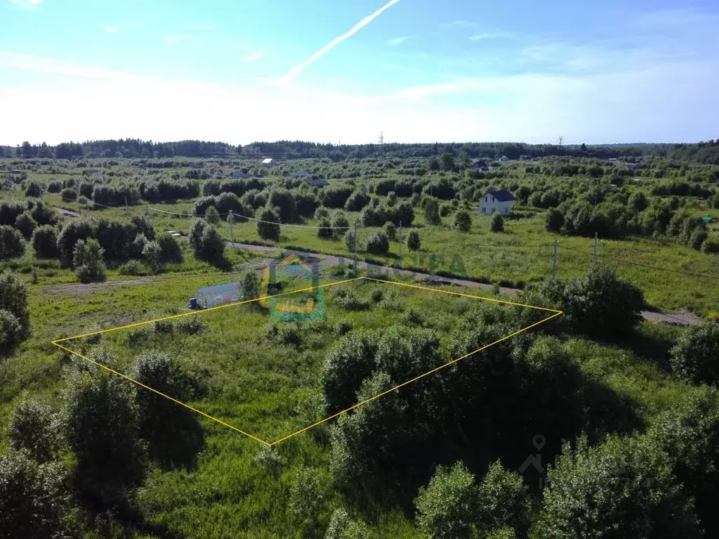 Участок в Ленинградская область, Ломоносовский район, Гостилицкое ... - Фото 1
