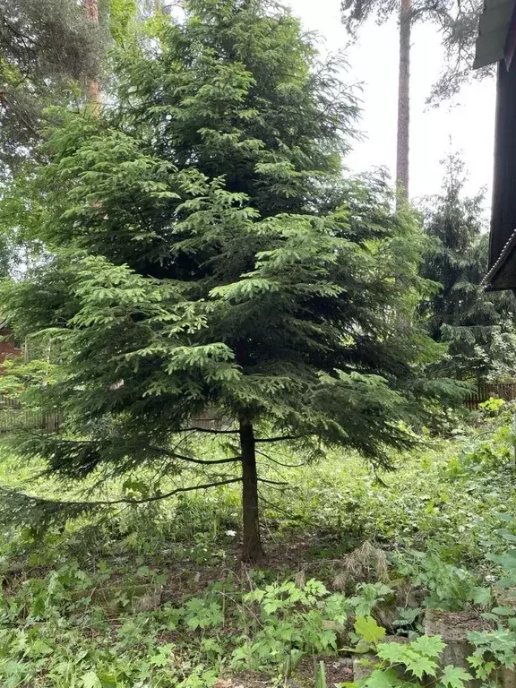 Дом, 150 м - Фото 1