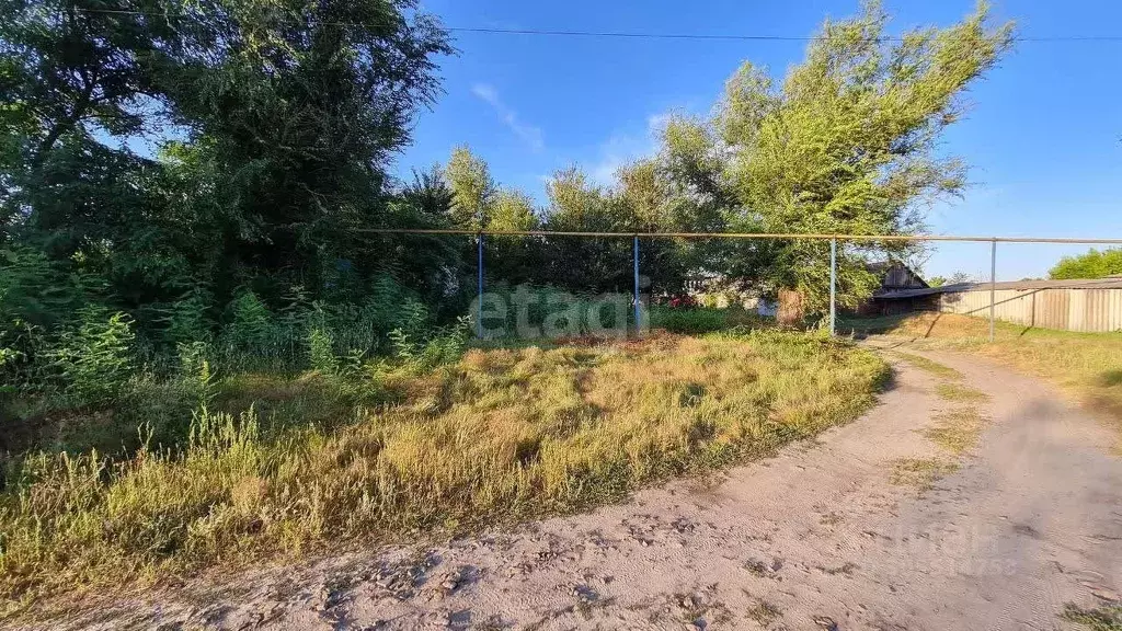 Участок в Белгородская область, Волоконовка рп ул. Буденного (10.0 ... - Фото 0