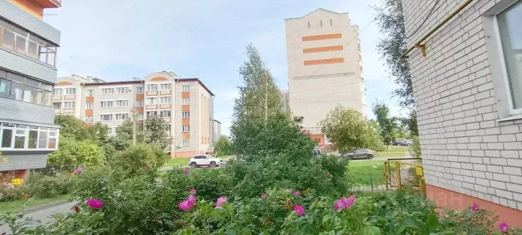 2-к кв. Новгородская область, Великий Новгород ул. Державина, 11 (59.2 ... - Фото 2