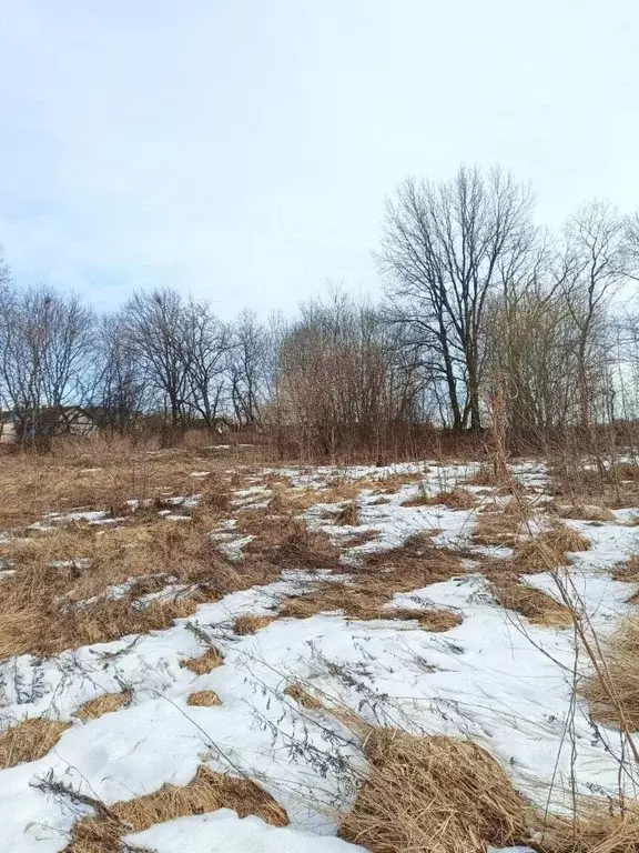 Участок в Московская область, Кашира городской округ, д. Корыстово ул. ... - Фото 0