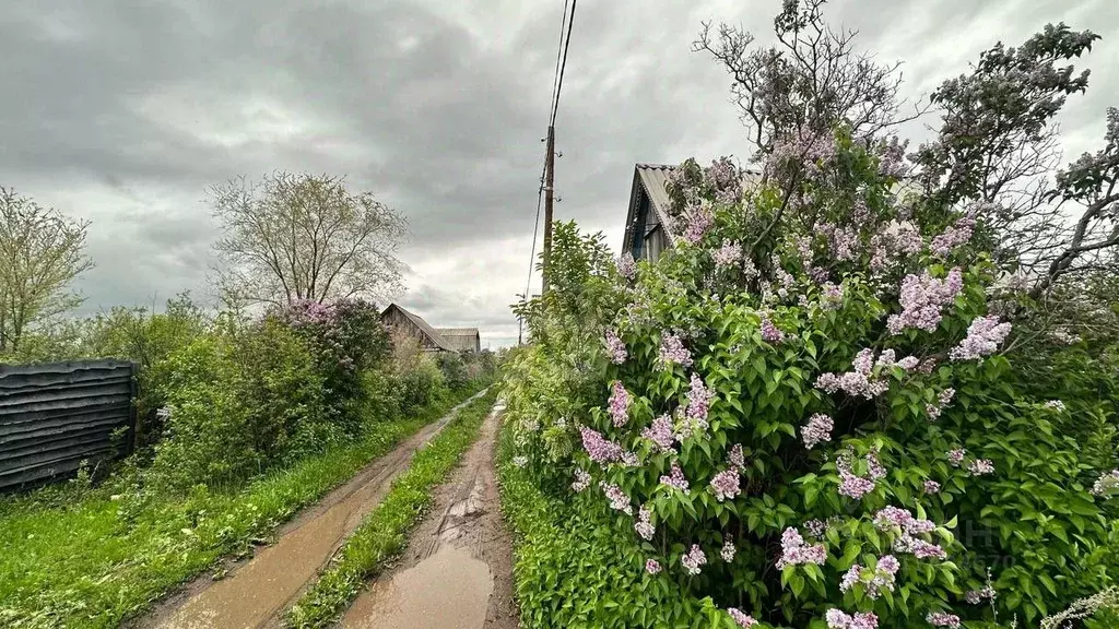 Участок в Оренбургская область, Сакмарский район, с. Татарская Каргала ... - Фото 0