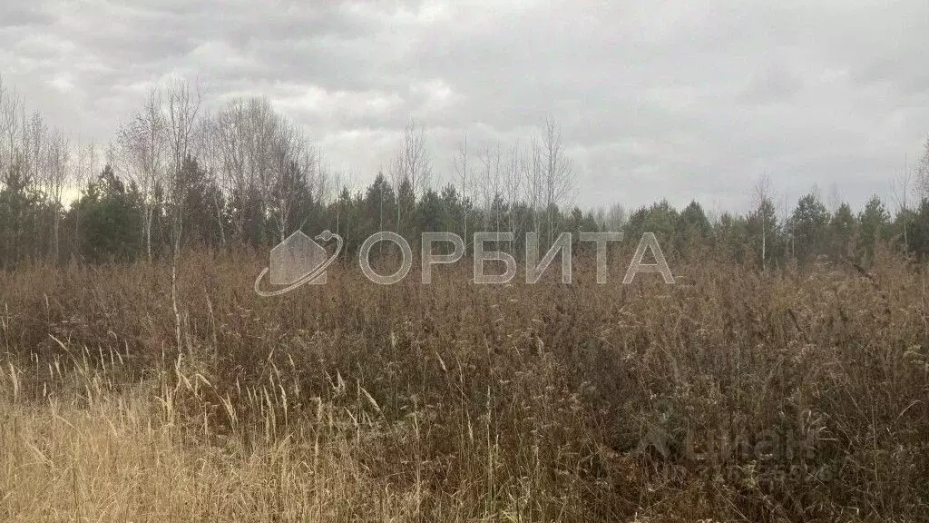 Участок в Тюменская область, Нижнетавдинский район, Геолог-2 СНТ ул. ... - Фото 0