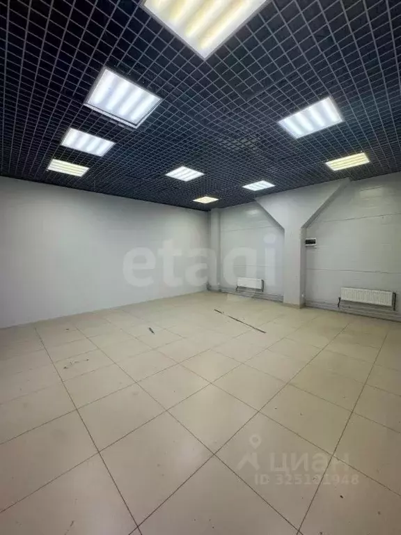 Торговая площадь в Псковская область, Псков ул. Яна Фабрициуса, 5В (35 ... - Фото 2