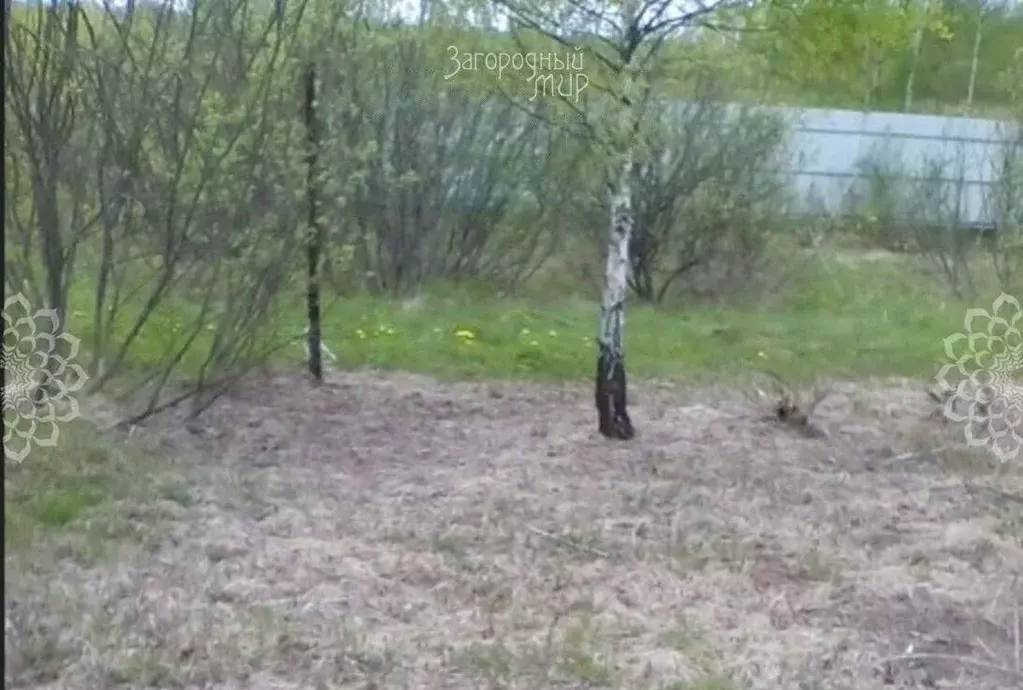 Участок в Московская область, Клин городской округ, ДНП Вишневый сад ... - Фото 0