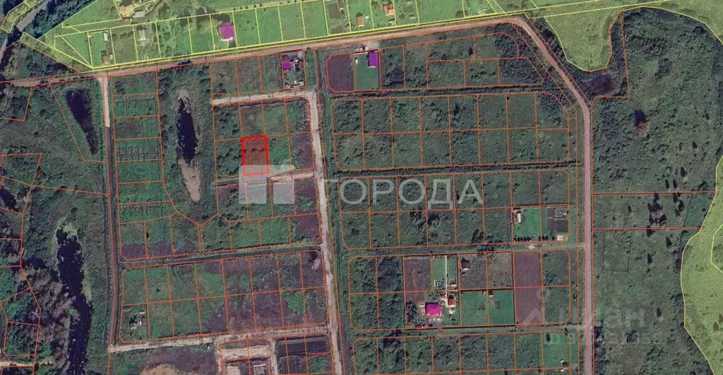 Участок в Новосибирская область, Новосибирский район, Кудряшовский ... - Фото 2