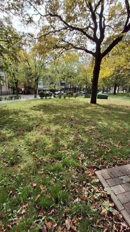 1-к кв. Ставропольский край, Пятигорск Новороссийская ул., 24 (27.0 м) - Фото 0