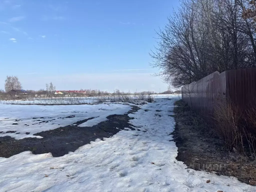 Участок в Курская область, Золотухинский район, Тазовский сельсовет, ... - Фото 1