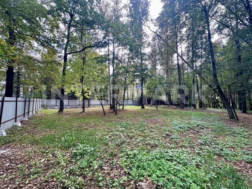 Участок в Московская область, Красногорск городской округ, с. ... - Фото 2